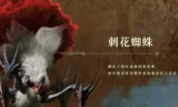 《怪物猎人：荒野》刺花蜘蛛弱点介绍
