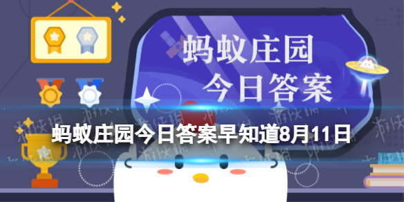 海洋里的海绵是植物还是动物-蚂蚁庄园今日答案早知道8月11日