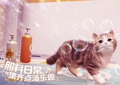 猫咪集结中西山居休闲社交《我和我的猫》测试开启